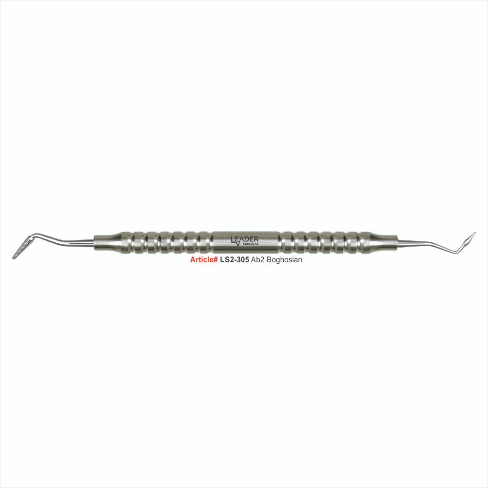 LS2-305 Composite Burnisher AB2 Boghosian Filling Instrument - Image 1