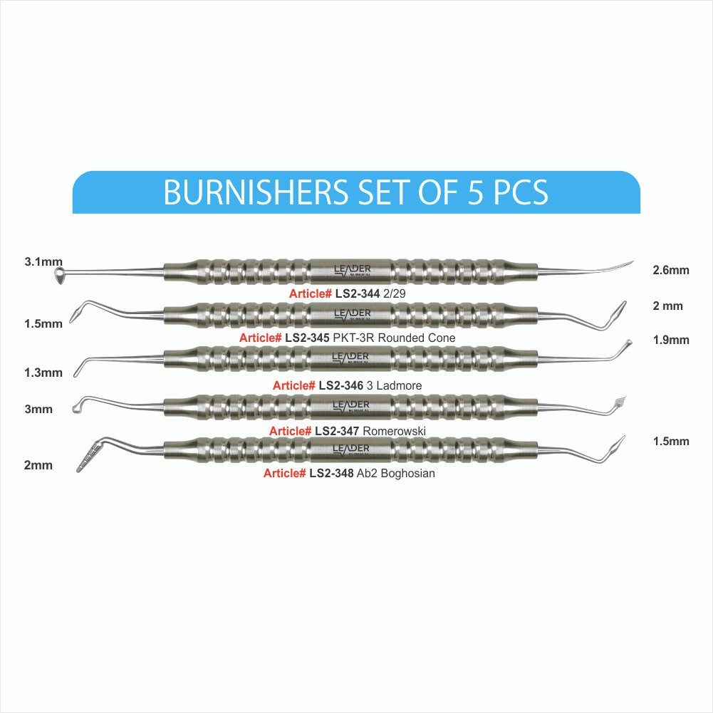 LS2-344 TO LS2-348 BURNISHERS SET OF 5 PCS Burnishers Set of 5 Pcs - Image 1