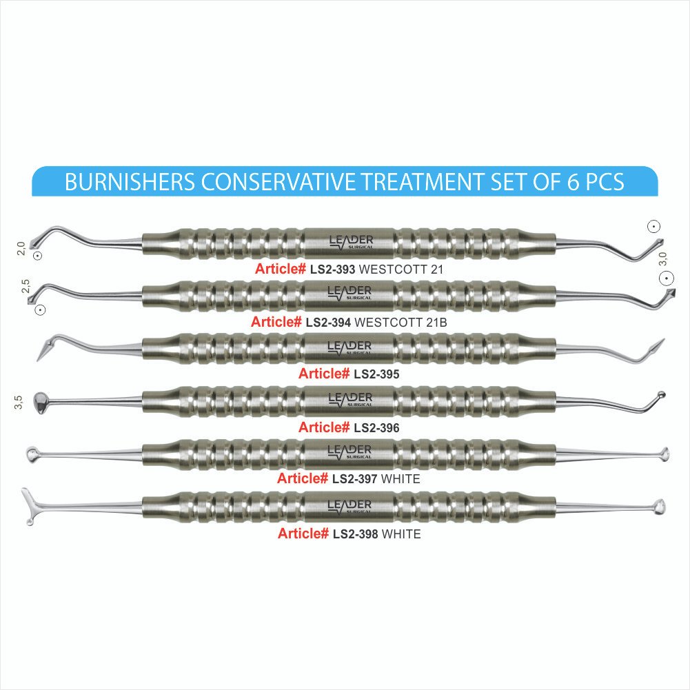 LS2-393 TO LS2-398 BURNISHERS CONSERVATIVE TREATMENT SET OF 6 PCS Burnishers Conservative Treatment Set of 6 Pcs - Image 1