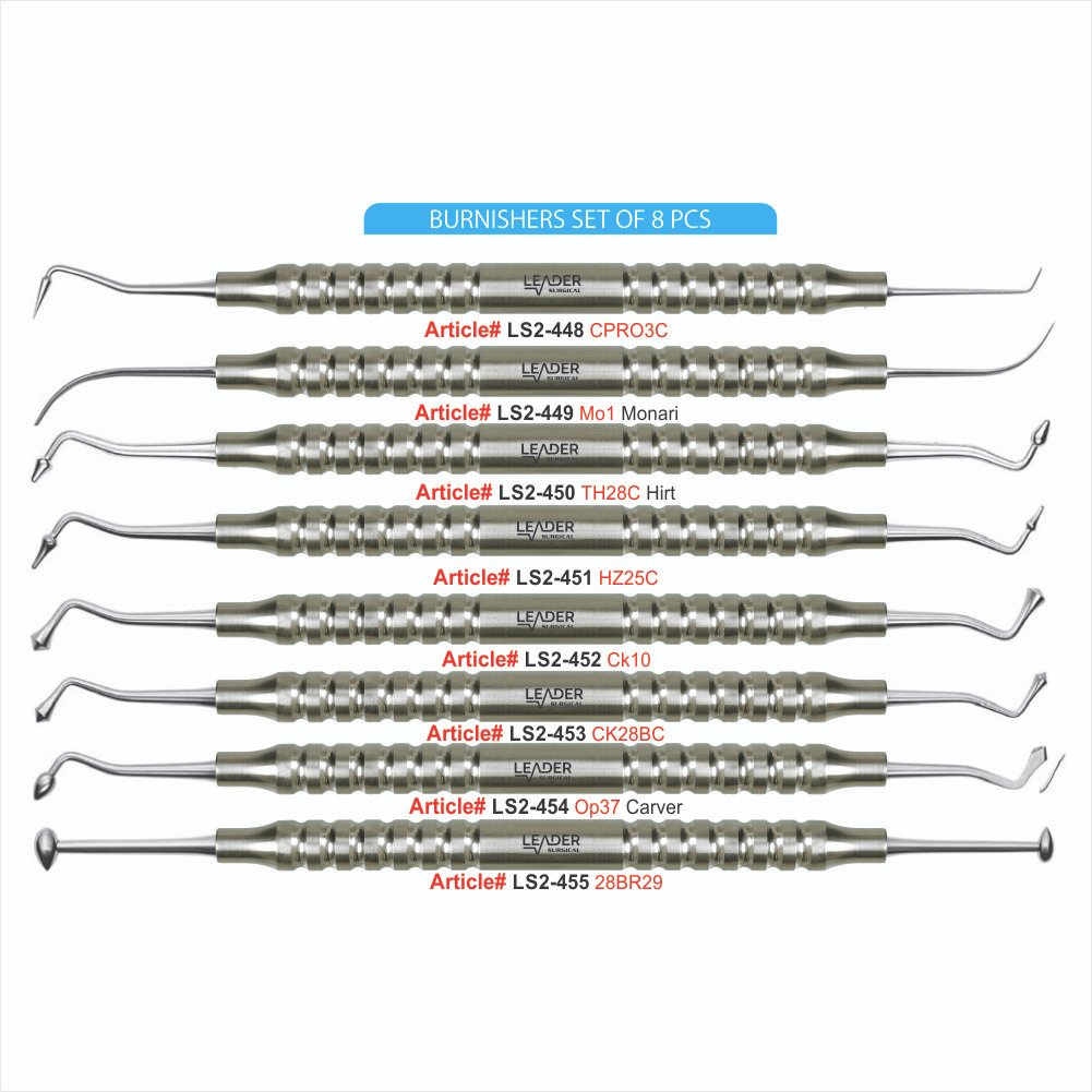 LS2-448 TO LS2-455 BURNISHERS SET OF 8 PCS Burnishers Set of 5 Pcs - Image 1