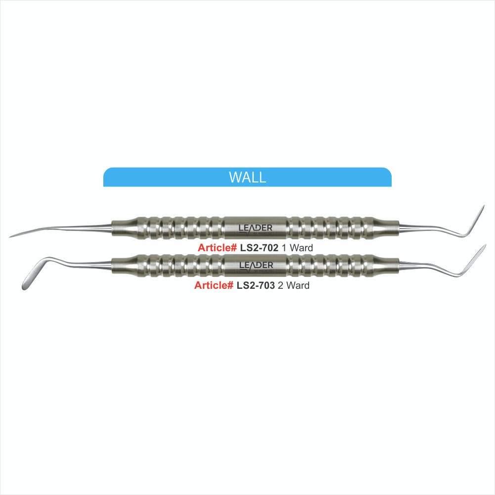 LS2-702 TO LS2-703 WALL Wall - Image 1