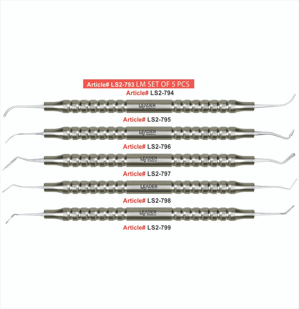 LS2-793 LM SET OF 5 PCS LM Set of 5 Pcs - Image 1