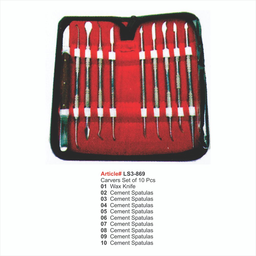 LS3-869 Carvers Set of 10 Pcs - Image 1