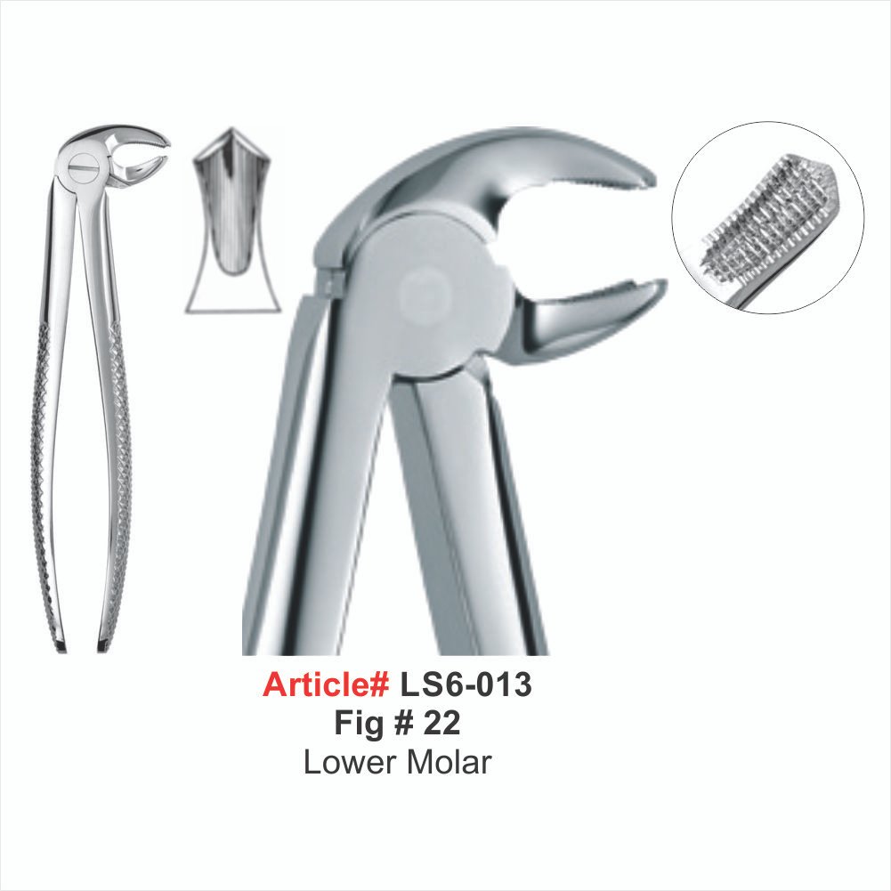 LS6-013 Lower Molar Extracting Forceps - Image 1