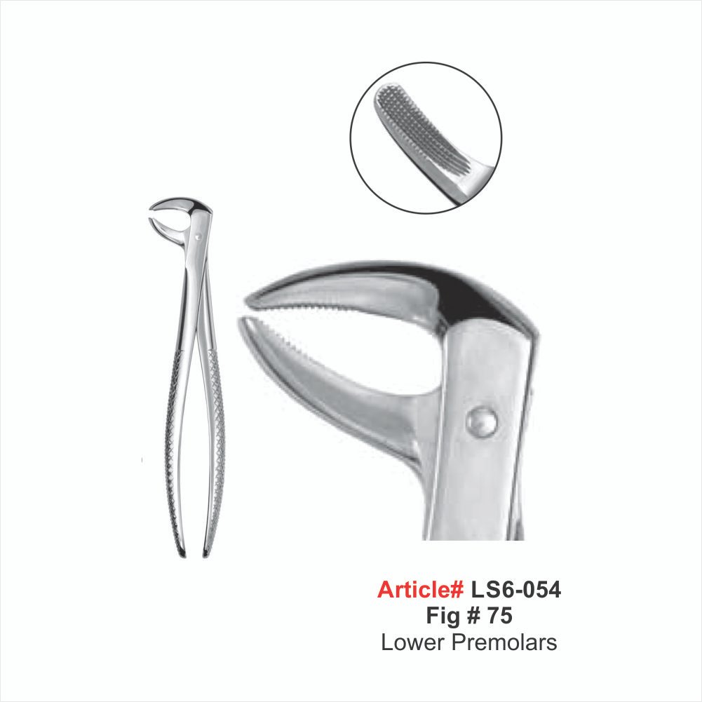 LS6-054 Fig #75 Lower Premolars Extracting Forceps - Image 1