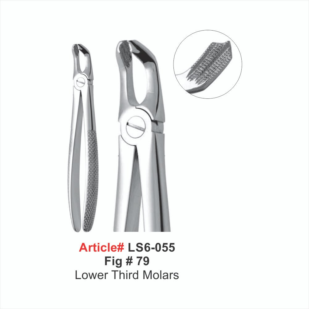 LS6-055 Fig #79 Lower Third Molars Extracting Forceps - Image 1
