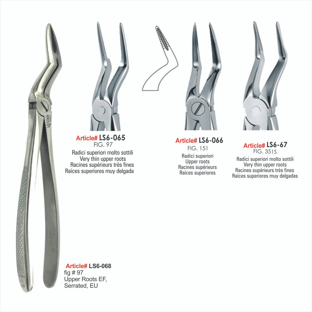 LS6-065 TO LS6-068 Upper Roots EF, Serrated, EU Extracting Forcep - Image 1