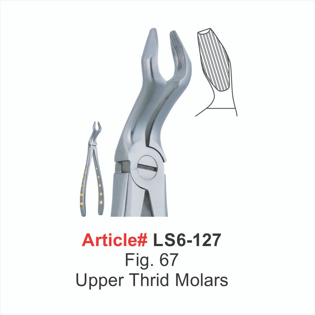 LS6-127 Flg. 67 Upper Thrid Molars Extracting Forceps - Image 1