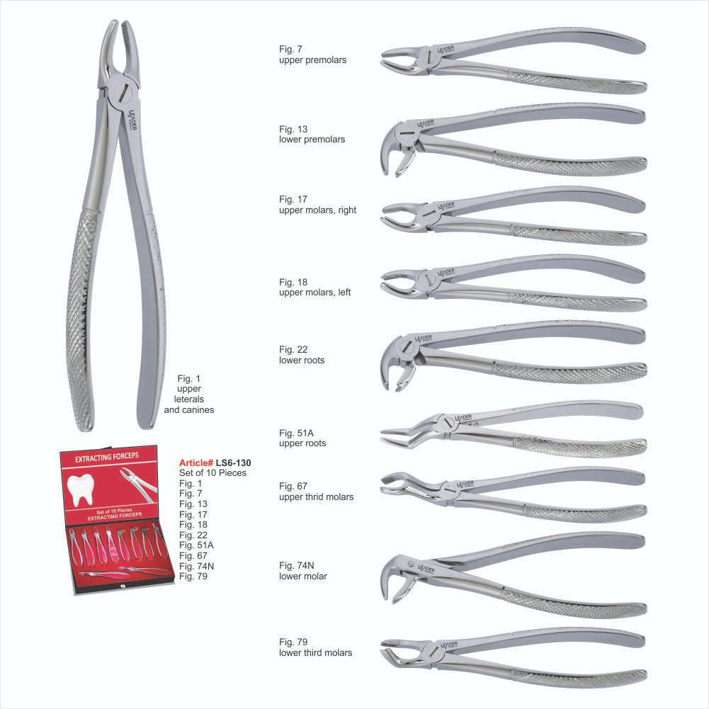 LS6-130 Set of 10 Pieces upper leterals and canines Set of 10 Pieces - Image 1
