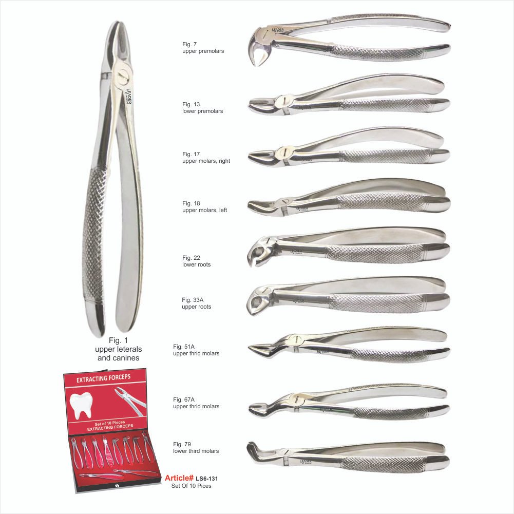 LS6-131 Set Of 10 Pices Fig. 1 upper leterals and canines Set Of 10 Pieces - Image 1